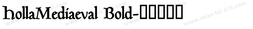 HollaMediaeval Bold字体转换